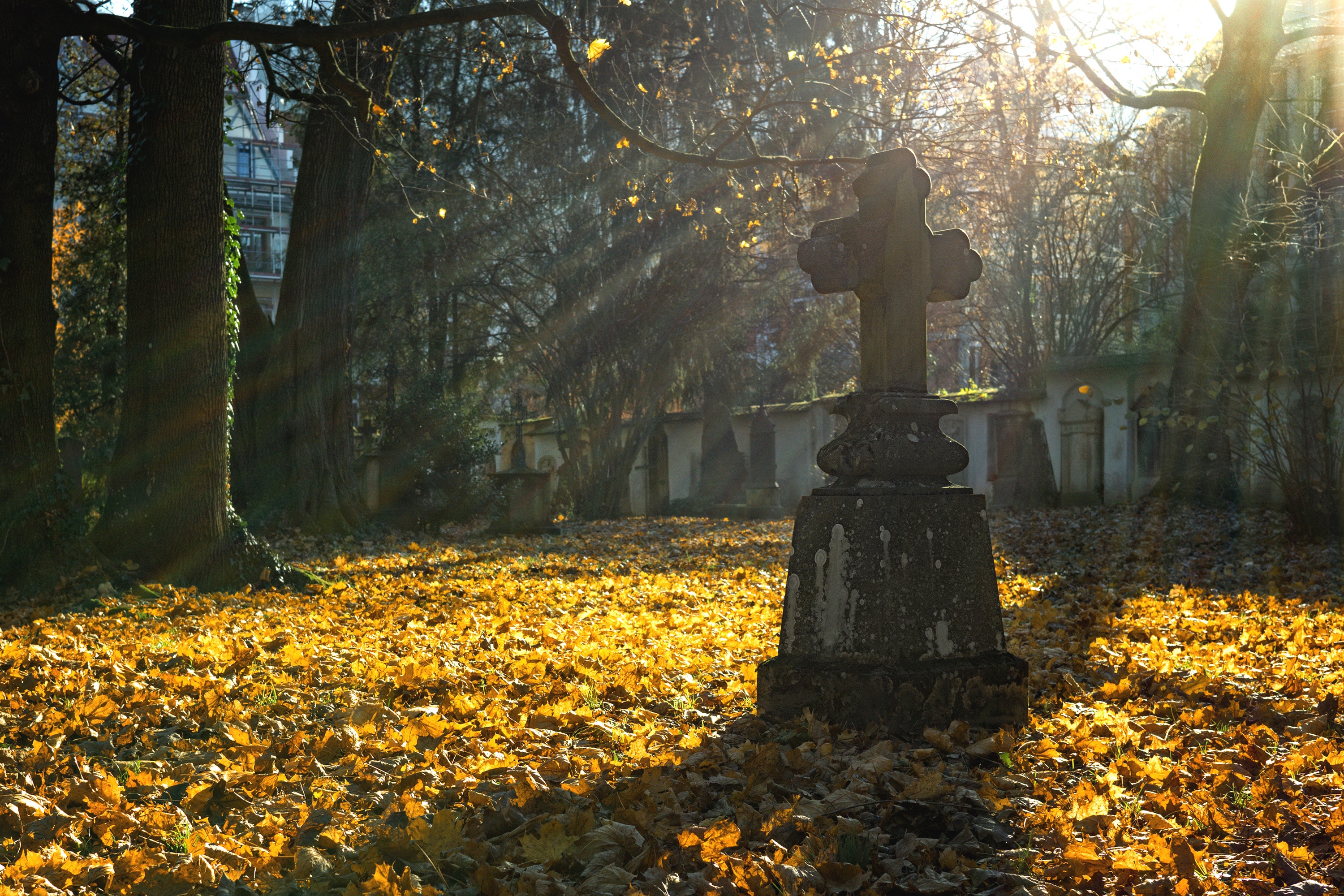 Autumn light streams past a cross monument in a cemetery. Image by Pexels, courtesy of Pixabay.