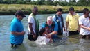 Des pasteurs méthodistes unis de Géorgie du Nord se joignent au baptême de 47 personnes dans une rivière à Angat, aux Philippines. La Conférence de Géorgie du Nord est partenaire du projet Bridges Philippines. Photo du révérend Joey Galinato.