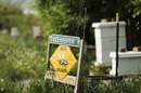 Beekeeping photo by Jeffrey D. Allred, Deseret News