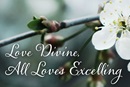 Charles Wesley’s “Love Divine, All Loves Excelling” teaches about God’s grace that fills us with love. Image by Kathryn Price, United Methodist Communications.