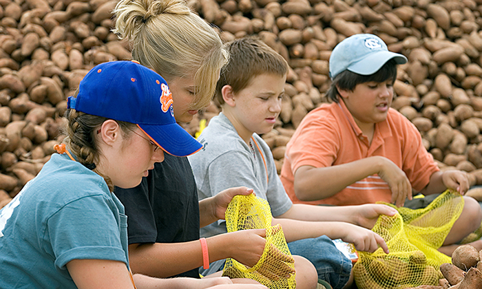 United Methodist youth bag sweet potatoes during a service project at Youth 2007 in Greensboro, N.C. From left are: Alexis Ward, Allison Kraft, Zach Wood and Connor Lewis of Messiah United Methodist Church in Springfield, Va. The hunger ministry, Society of St. Andrew, received 40,000 pounds of sweet potatoes that were packaged by volunteers and donated to area food banks.